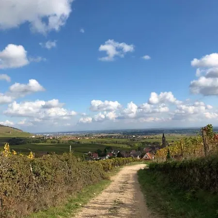 O P'tit Bawala * Beblenheim